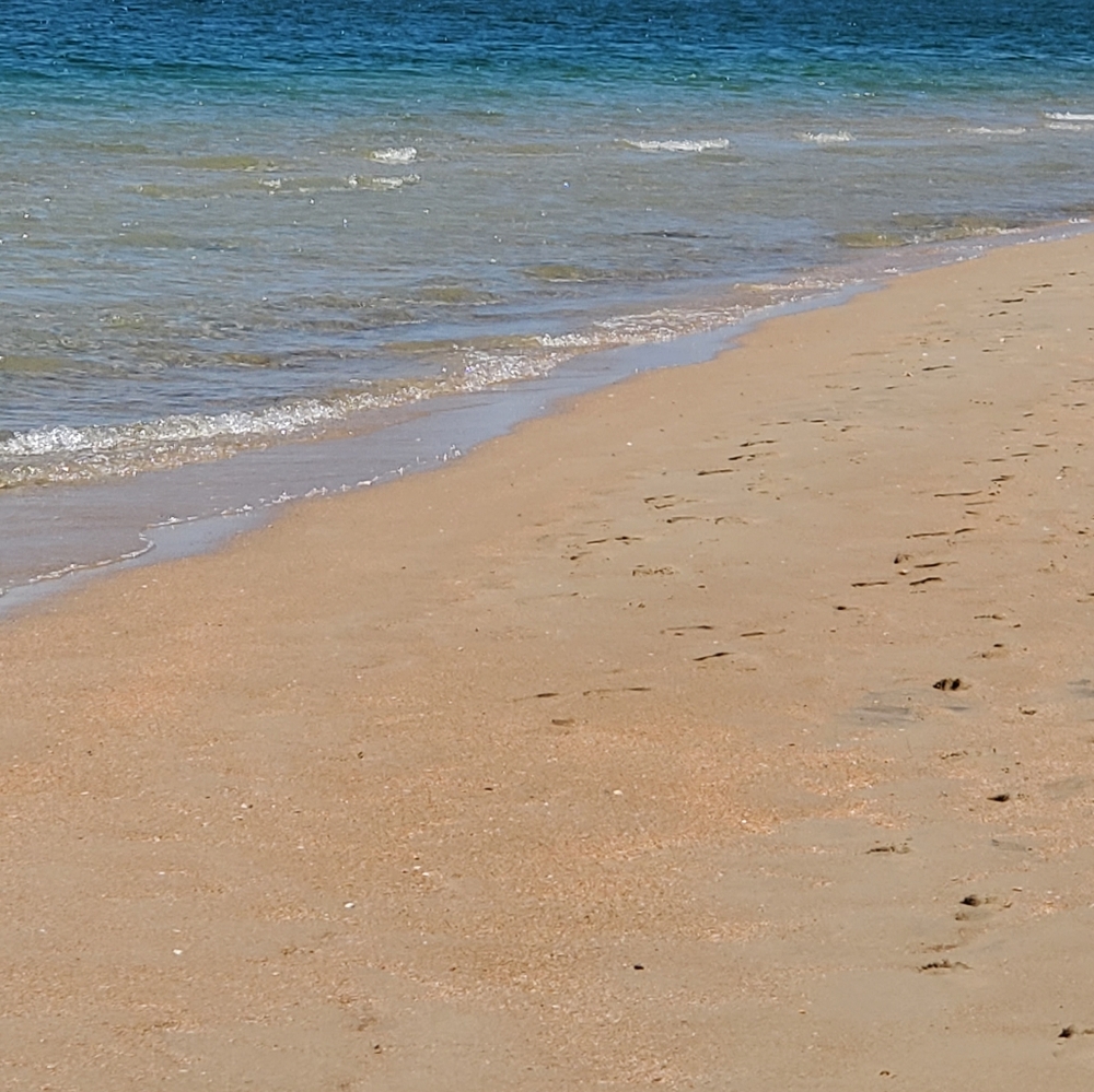 Meet your Posher, Katrina